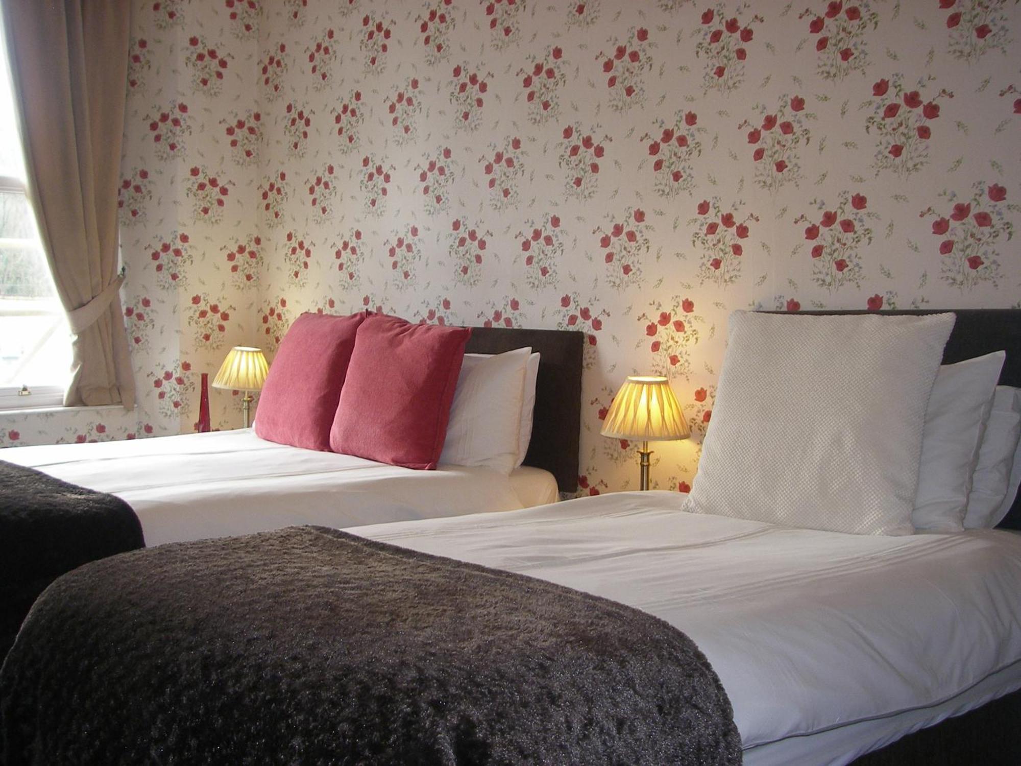 Saffron House Bed & Breakfast Combe Martin Ngoại thất bức ảnh